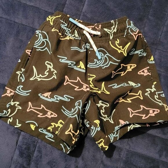 Swim Trunks - Picture 1 of 2